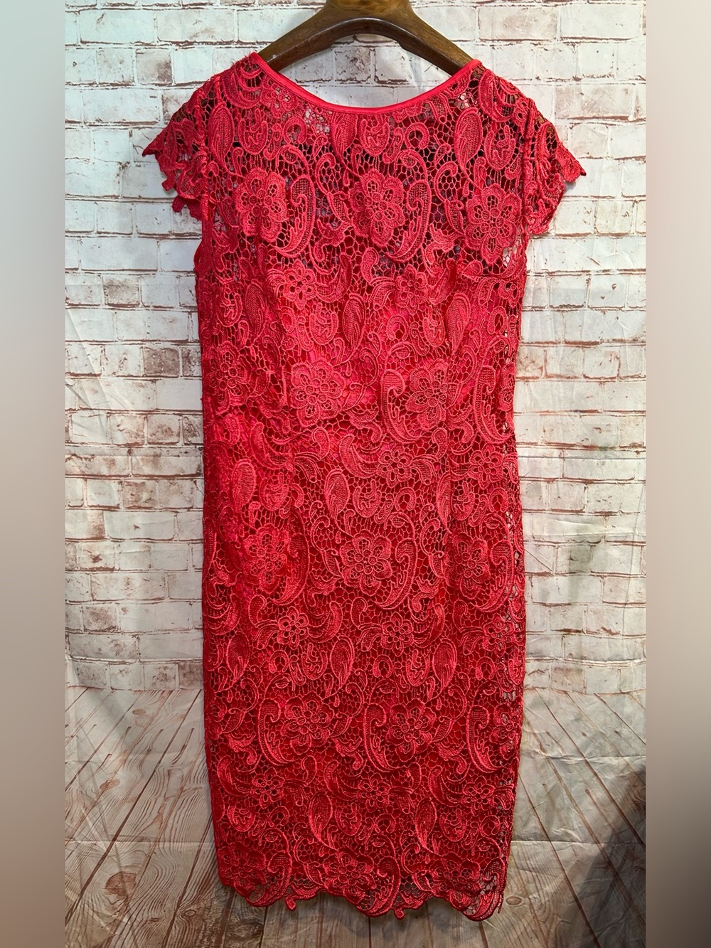Sténay Coral Red Guipure Lace Sheath Dress Scalloped Elegant Cocktail Chic Midi - Picture 2 of 9